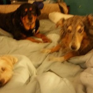 Meet your Posher, Jason